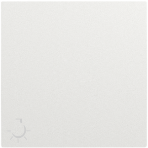 90607_TGE: Kryt tlačidla, symbol LAMPA, ľadová