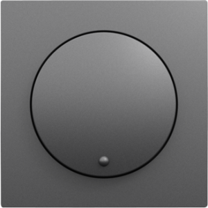 90721_TIS: Kryt dvojcestného stmievača, šedá