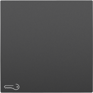 90604_TPM: Kryt tlačidla, symbol KĽÚČ, čierna