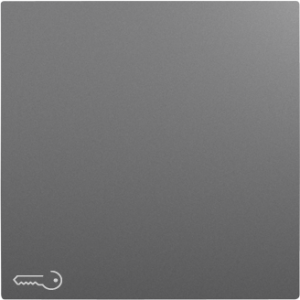 90604_TIS: Kryt tlačidla, symbol KĽÚČ, šedá