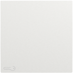 90604_TGE: Kryt tlačidla, symbol KĽÚČ, ľadová