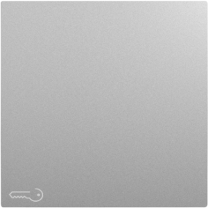 90604_TAL: Kryt tlačidla, symbol KĽÚČ, hliníková