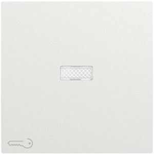 90794_TGE: Kryt tlačidla, symbol KĽÚČ, orientačná LED, ľadová