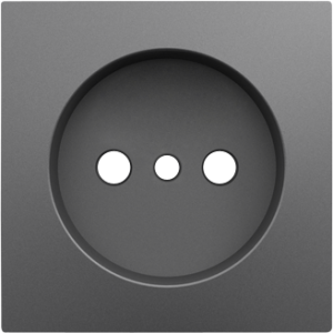 90621_TIS: Kryt zásuvky bez zemniaceho kolíka, šedá